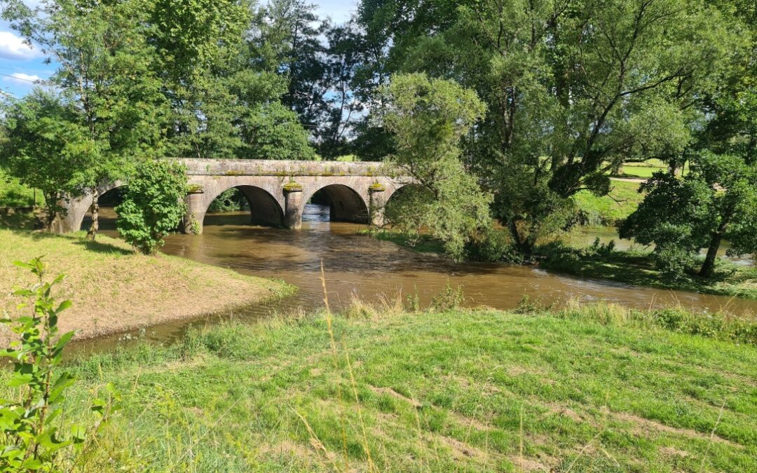 Tag 17 / 07.07.2024 Corre 3