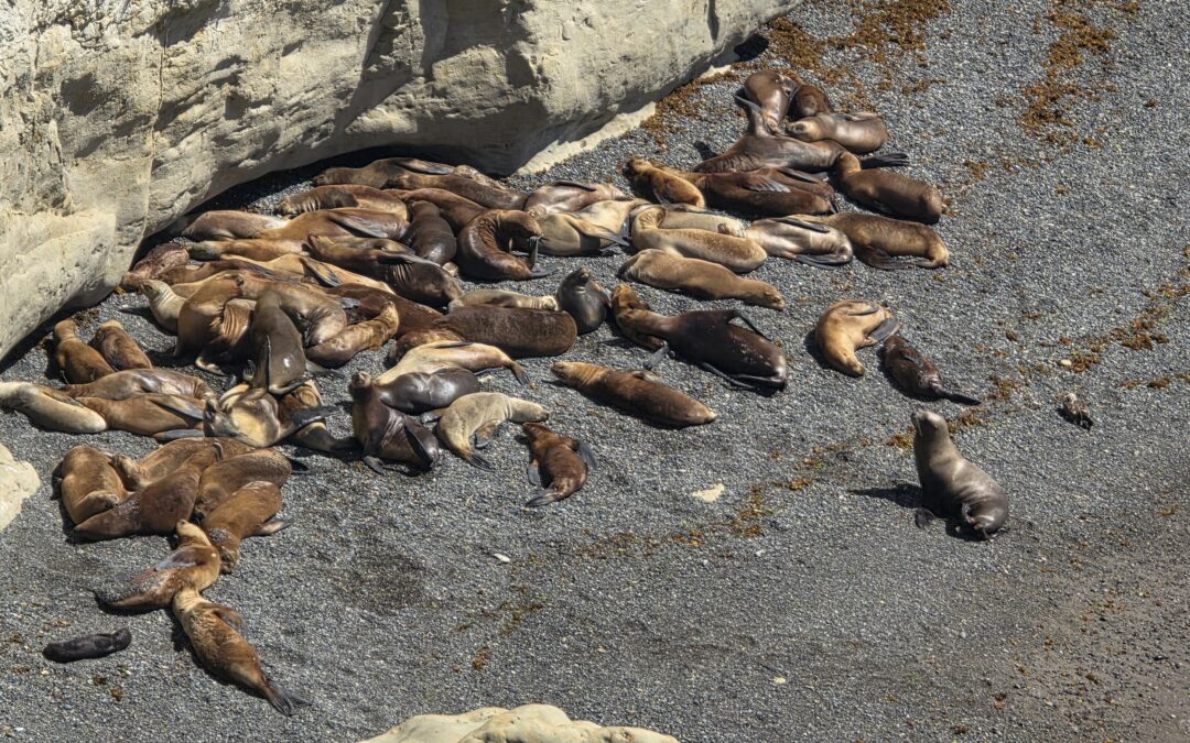 Tag 13 | 06.03.2026 | Puerto Madryn