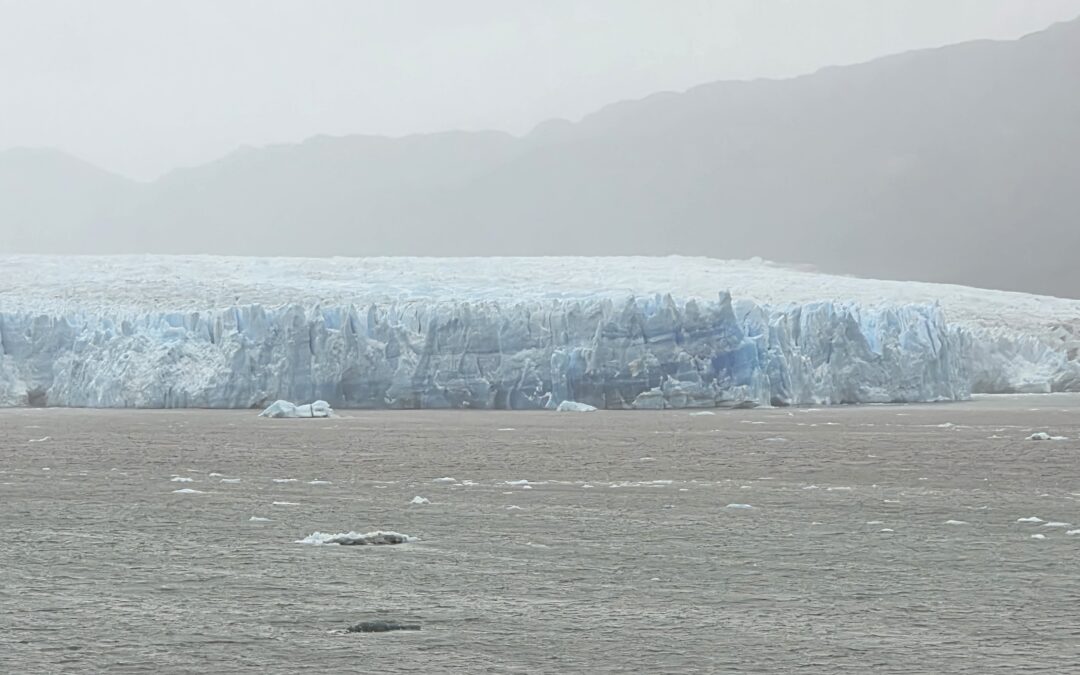 Tag 19 | 12.03.2026 | Ein weiterer Tag in den Fjorden von Chile