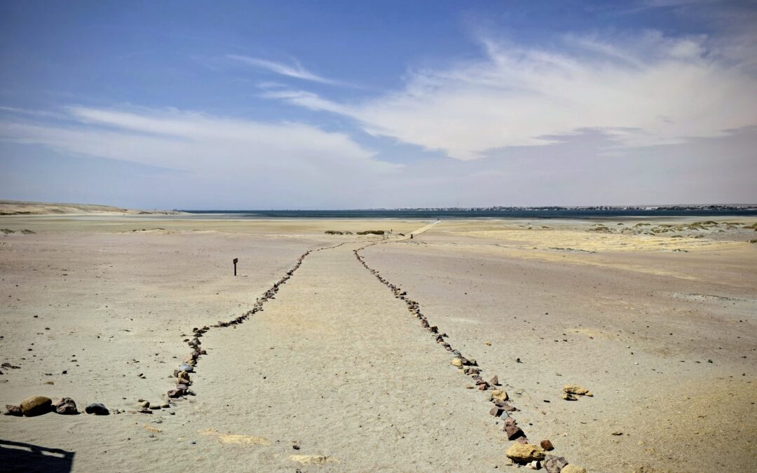 Tag 29-30 | 22.-23.03.2026 | Wüste, Wind und grosse Versprechen – Paracas